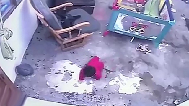 Un chat sauve un bébé qui allait tomber dans les escaliers