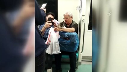 Marmaray'da susayan kedisine biberonla su içirdi - İSTANBUL