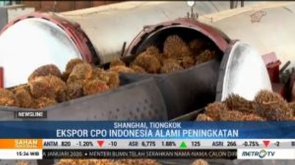 Indonesia-Tiongkok Tingkatkan Kerja Sama Minyak Sawit