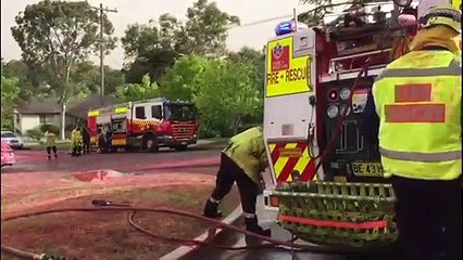 Australien: Feuerwehr sprüht Häuser rosafarben ein