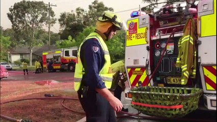 Australien: Feuerwehr sprüht Häuser rosafarben ein