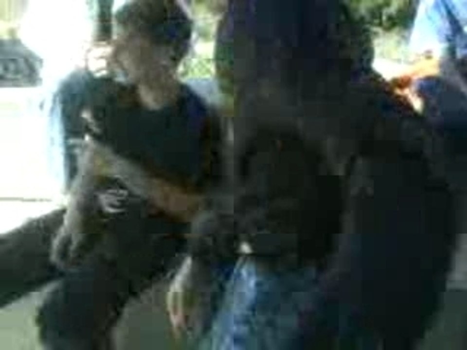 MOV00021