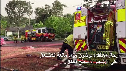 حرائق الغابات في أستراليا تصل إلى ضواحي سيدني