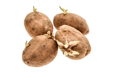¿Cómo evitar que a las patatas les salgan raíces?