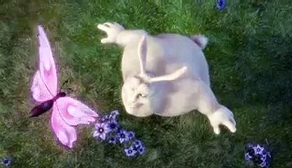 Test Title