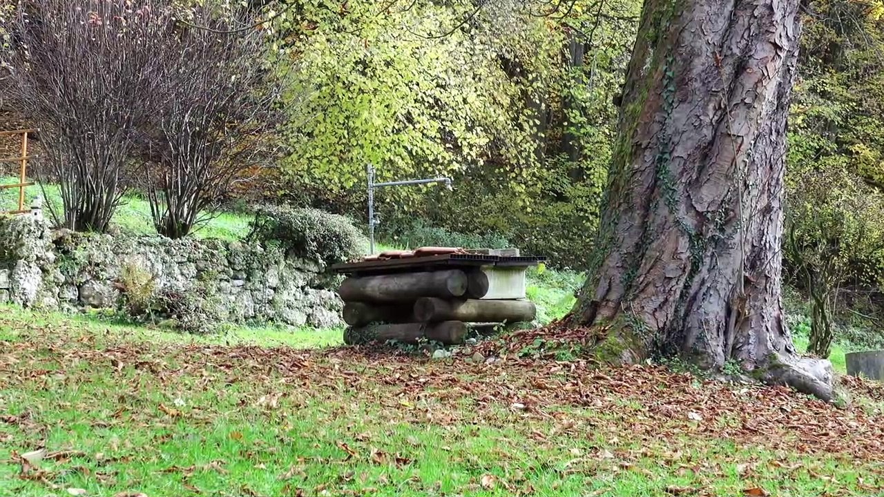 Salzach bei Tittmoning