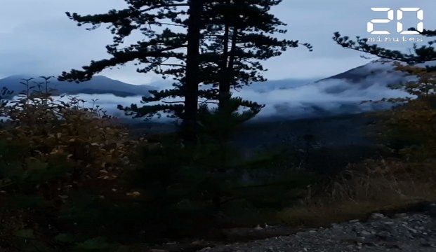 Alpes : On a suivi l'Office de la chasse à la poursuite du loup, animal « d’une incroyable intelligence »