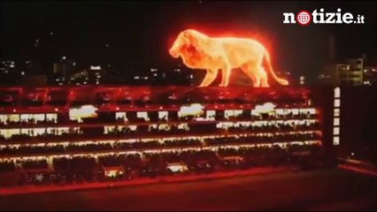 L'Estudiantes inaugura il nuovo stadio: la presentazione è da brividi | Notizie.it