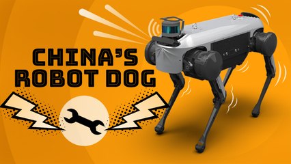 China has its own robot dog