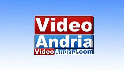 Maltempo, cadono rami di albero ad Andria