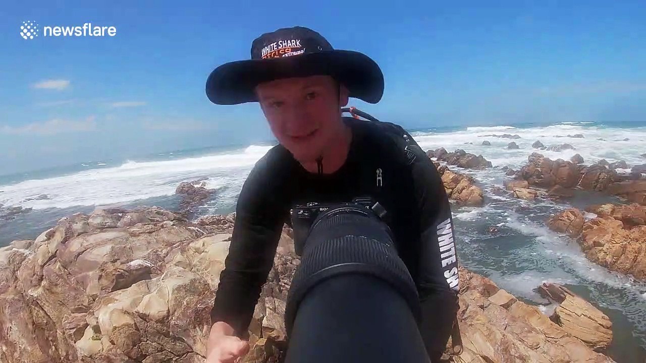 Wildlife photographer gets ambushed by feisty seagull in South Africa