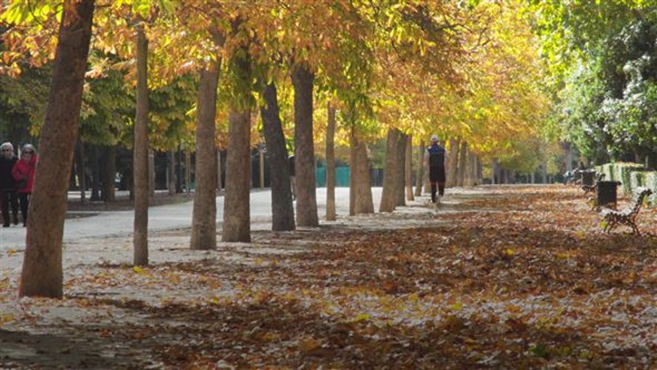 So schön ist der Herbst... in Madrid