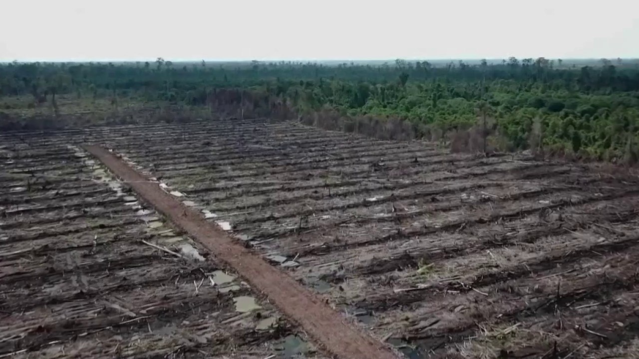 Nature - Des biocarburants pas si « verts »