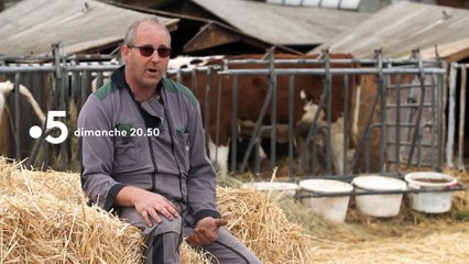 [BA] Spéciale C Politique - Gilets jaunes, la fabrique de la révolte - 17/11/2019