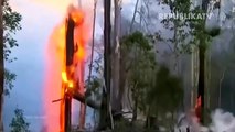 Kebakaran Hutan Melanda Australia