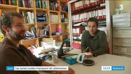 Jura : les zones rurales manquent de vétérinaires