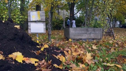 A La Courneuve, des éco-délégués agissent pour le climat "à leur échelle"