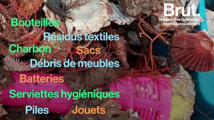 À Barcelone, les déchets représentent un tiers de la pêche