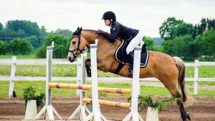 Horse Pilot Ambassador challenge 2020