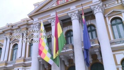 Bolivia interim president-in-waiting: 'no one asked Morales to leave'