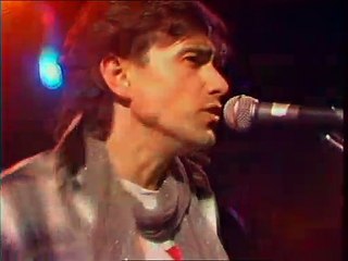 Jean-Louis Murat - Pourquoi n'as-tu pas dit je t'aime? (extrait live TV)