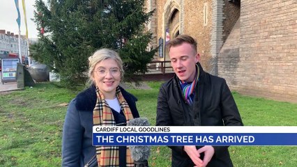 GOODLINES: 13th November 2019