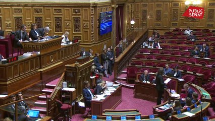 Plan pour l’hôpital : Buzyn précise le calendrier, après un début de séance bousculé au Sénat