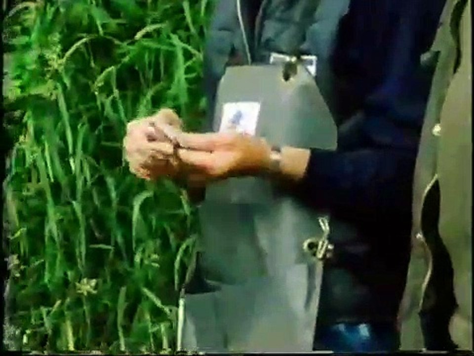 Go Fishing with Jack Charlton: River Coarse Fishing (1982 UK VHS)