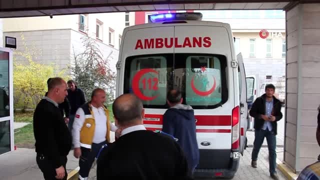 Erzurum'da ayı saldırısı...Ayının saldırdığı çobanın hayatını köpekleri kurtardı