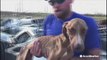 'Miracle' dog found trapped in hurricane rubble meets his forever family