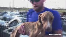 'Miracle' dog found trapped in hurricane rubble meets his forever family