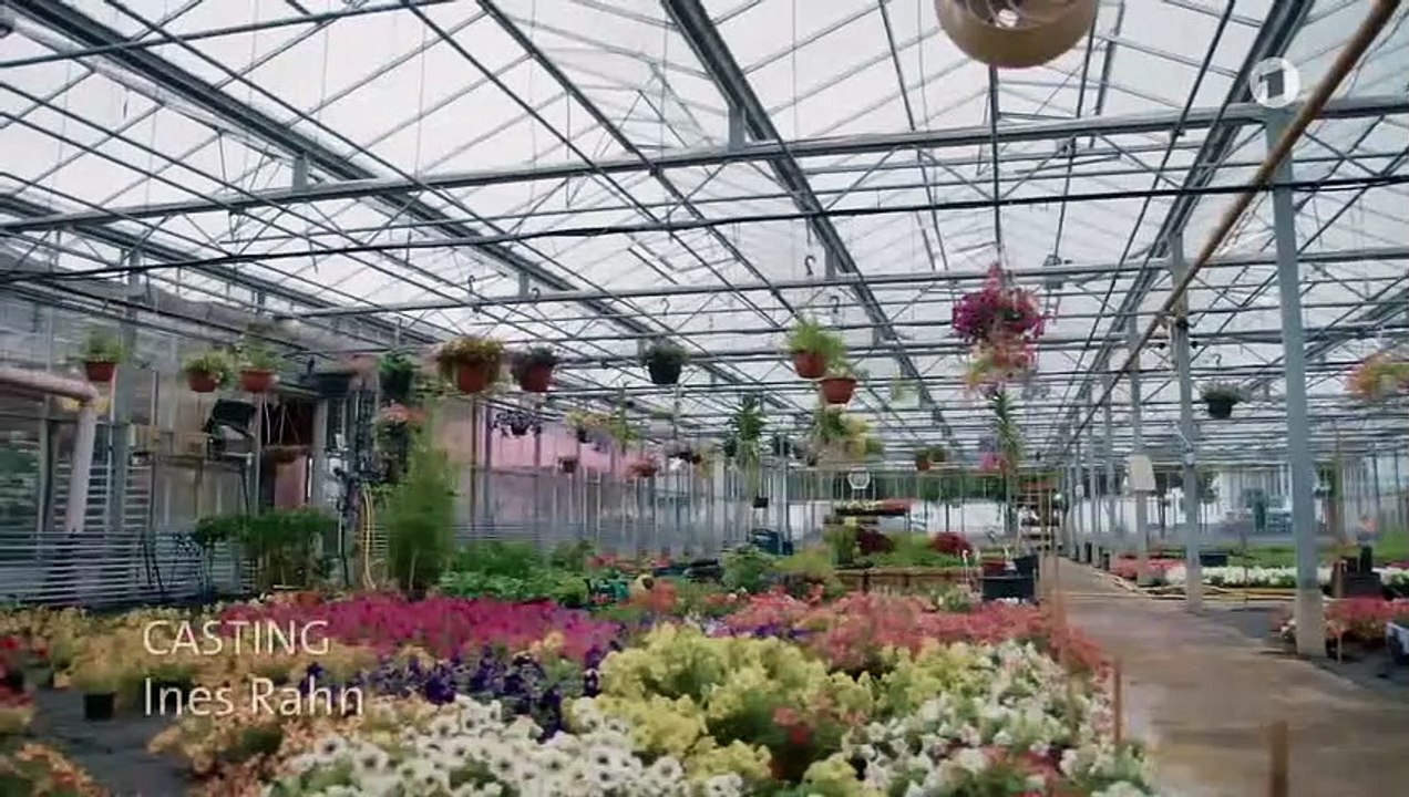 Die wilde Heidi (875) - In aller Freundschaft