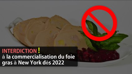 Le foie gras sera désormais interdit à la commercialisation à New York d'ici prochainement