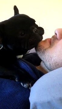 Dog Finds Dad's Beard is Good for Scratches