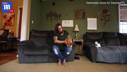 Fellow cat rescuer remembers 'animal angel' Al Chernoff