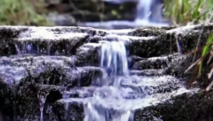 HIS TEETH SHALL BE WHITE WITH MILK