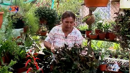 Agricultora de San pablo con un corazón generoso qn-Agricultora de San pablo con un corazón generoso-121119