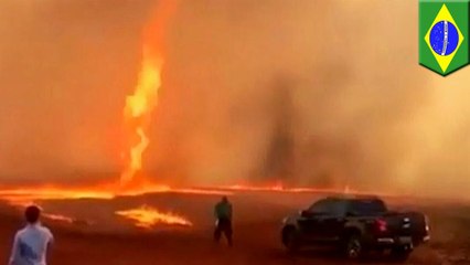 【火災旋風】迫力満点!ブラジルの農場に出現した炎の竜巻 - トモニュース