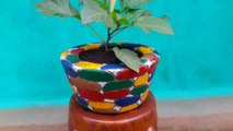Homemade cement flower pots |  How to make cement flower pots