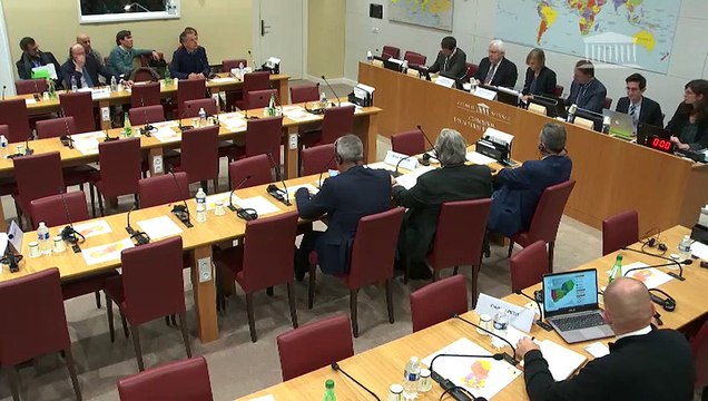 Commission des affaires étrangères : M. Martin Griffiths, envoyé spécial du Secrétaire général des Nations unies pour le Yémen - Mardi 12 novembre 2019