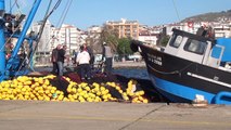 Balıkçılığın merkezlerinden Sinop'ta tekneler avlanma saatini bekliyor