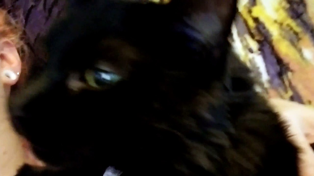 Luna Liz & Me 2019-10-21