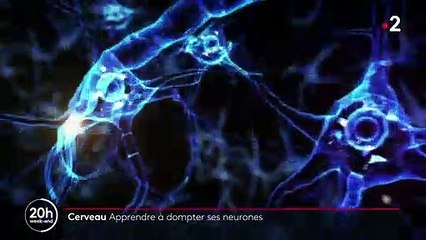 Sciences : une nouvelle méthode pour apprendre à contrôler son cerveau