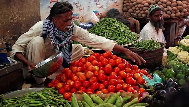 Locusts attack in Karachi | Minister advised people to make biryani
