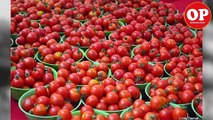 Price of tomatoes in Pakistan is shoot up