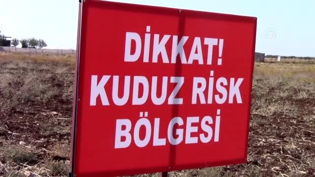 Adıyaman Tarım ve Orman İl Müdürlüğünden kuduz karantinası açıklaması