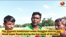 Watch  | Flood leaves behind damaged paddy fields in Sarupathar