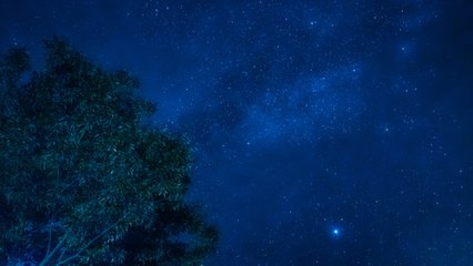Lluvia de estrellas Léonidas 2019