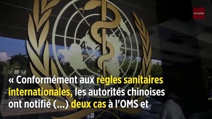 Chine : La peste noire refait surface avec près de 50 000 cas en 20 ans