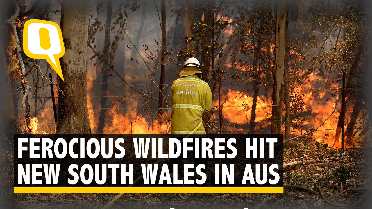Wildfires Hit Australia's NSW: 200 Homes Destroyed, Intensity Level 'Emergency'